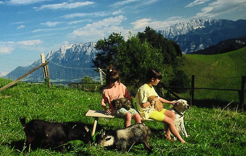 Berggasthof Bichlersee Oberaudorf Extérieur photo